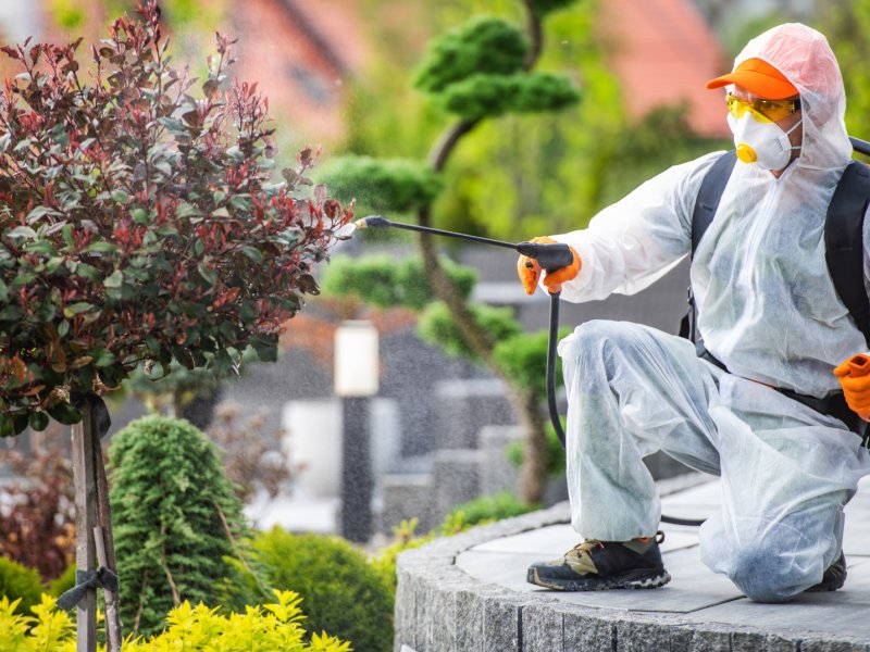 Silivri Haşere İlaçlama